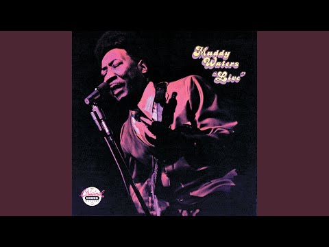 Youtube: Stormy Monday Blues (Live At Mr. Kelly's/1971)