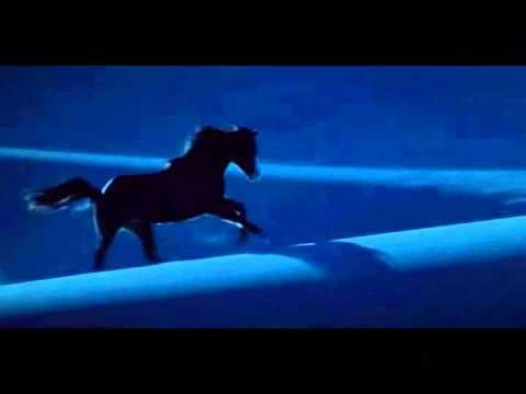 Youtube: Hans Zimmer_ Now we are free /The Horse Whisperer/ fanmade