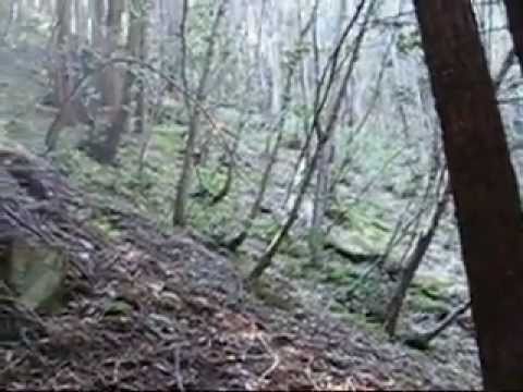 Youtube: BIGFOOT at BigSure