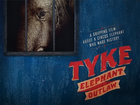 Youtube: Tyke Elephant Outlaw - Official Trailer