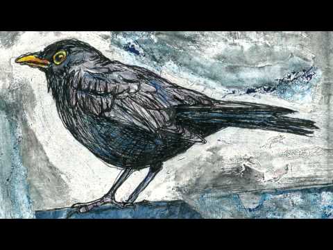 Youtube: Lee DeWyze - Blackbird's song
