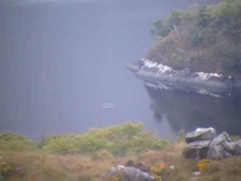 Youtube: Irish "Lake Monster" 2009