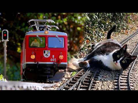 Youtube: Frühjahrsputz und Wartungsarbeiten bei der Gartenbahn 😺