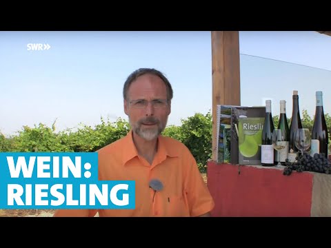 Youtube: Werner erklärt Wein: Riesling