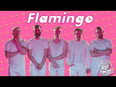 Youtube: Fäaschtbänkler - Flamingo 🦩