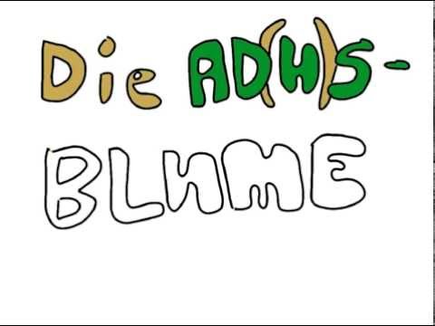 Youtube: Die AD(H)S Blume - ein Erklärungsmodell