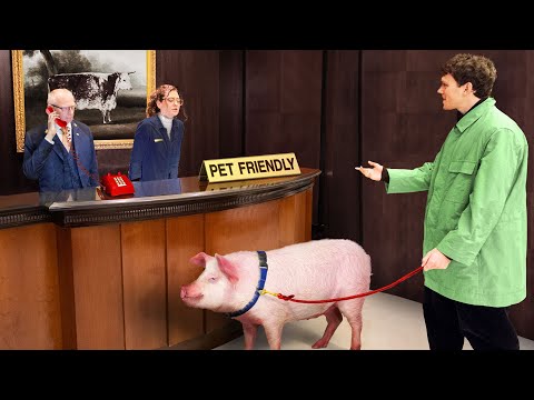 Youtube: I Tested 'PET FRIENDLY' Hotels With Farm Animals