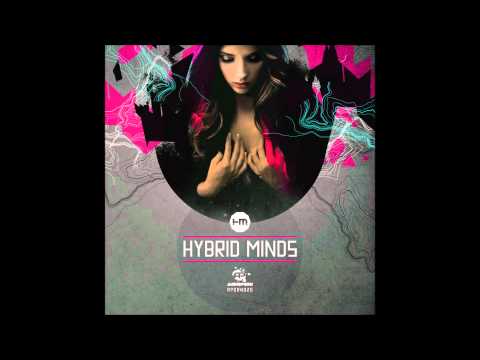 Youtube: Hybrid Minds - I'm Through (Original Mix)