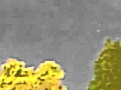 Youtube: Ufo sighting Maasbracht Netherlands ‎donderdag ‎26 ‎mei ‎2011 ‏‎19:03:10