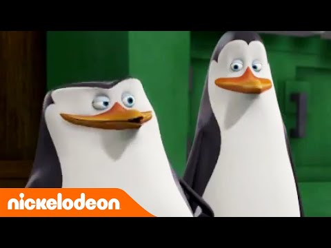 Youtube: Die Pinguine aus Madagascar | Popcorn Panik! | Nickelodeon Deutschland