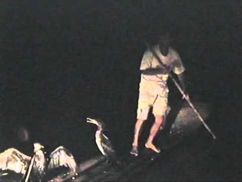 Youtube: Fischen mit Kormoranen auf dem Li-Fluss