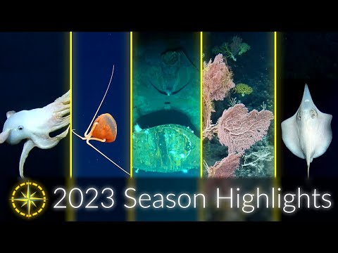Youtube: 2023 Expedition Season Highlights: Deep Sea Science and Collaboration | Nautilus Live