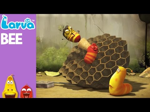 Youtube: [Official] Bee - Mini Series from Animation LARVA