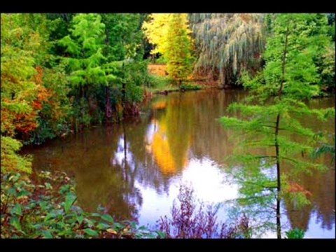 Youtube: Händel  Wassermusik Suite no 2 Allegro: Alla hornpipe