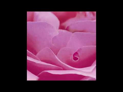 Youtube: AWB - Kinetic Lullaby [TPN09]