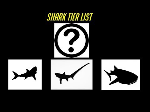 Youtube: The Shark Tier List