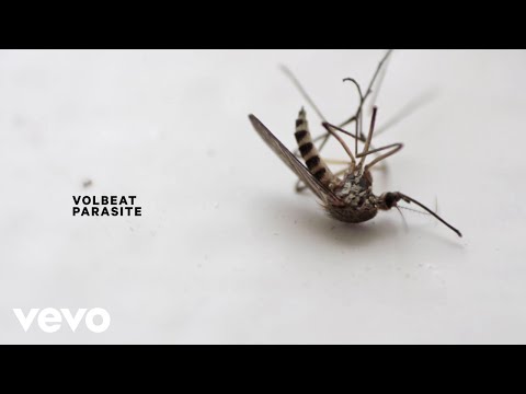 Youtube: Volbeat - Parasite (Lyric Video)
