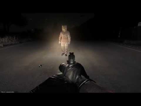 Youtube: DayZ - Creepiest encounter ever