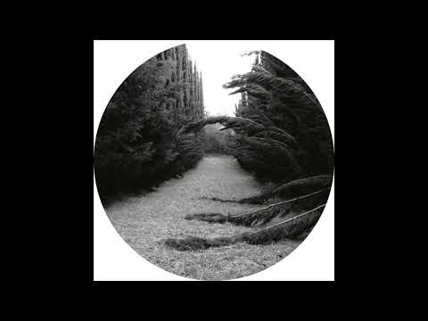 Youtube: Ladan - Zone 2 [SUBL01]