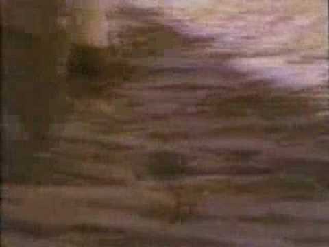 Youtube: clan of xymox - a day