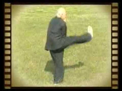 Youtube: Daoist Bagua Master Lu Zijian (116)  -  Taiyi Huolong Palm.