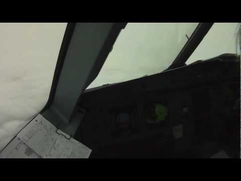 Youtube: Vogelschlag (Bird Strike) im Flugzeug - Cockpit View - Notlandung