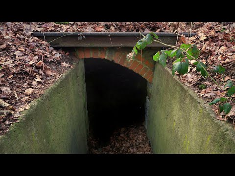 Youtube: Dunkles Gewölbe im Wald entdeckt | Exploring lost places