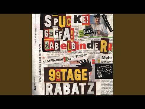 Youtube: Meinungsumfragen