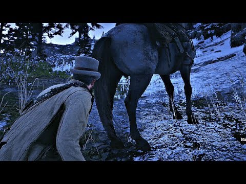 Youtube: Red Dead Redemption 2 - Shrinking Horse Balls