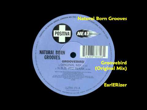 Youtube: Natural Born Grooves - Groovebird (Original Mix)