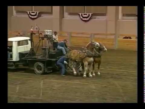 Youtube: Runaway at Draft Horse Pull