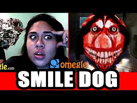 Youtube: Smile Dog Scares on Omegle!