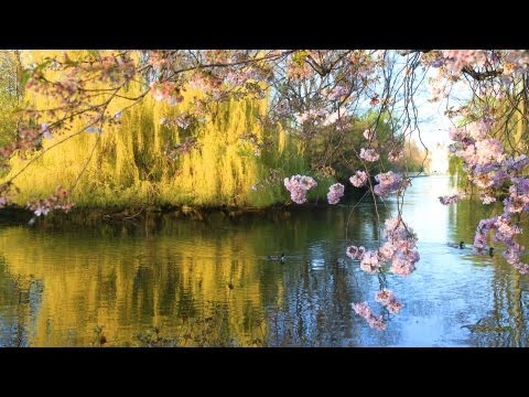 Youtube: Van Morrison - A Sense of Wonder  (Lyrics on screen)