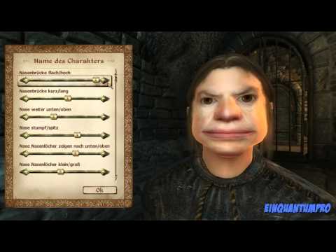 Youtube: Oblivion Charakter (Livestream Aufnahme)