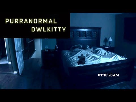 Youtube: Purranormal Activity (with my cat OwlKitty)
