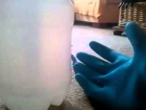 Youtube: Katzenhaare aus Teppich entfernen / Tierhaare loswerden