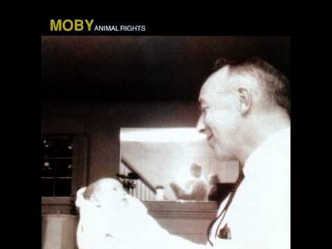 Youtube: Moby - Come on Baby