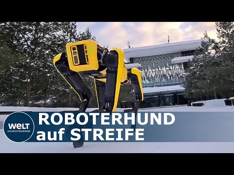 Youtube: BOSTON DYNAMICS: So nutzen US-Polizisten den Roboterhund "Spot" bei der Arbeit