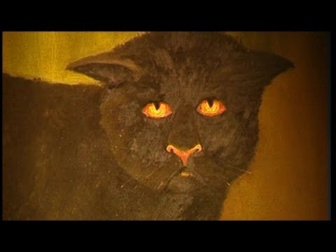 Youtube: Part 2 Black Cat of Killakee - Animal X Classic | Storyteller Media