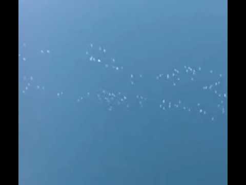 Youtube: UFO fleet over Germany