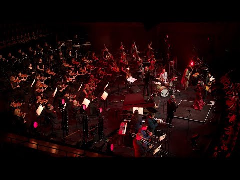 Youtube: The Cat Empire - Devil (Live at Sydney Opera House) (Official Live Video)