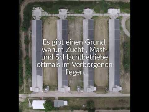 Youtube: Die Tierindustrie versteckt sich