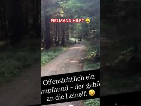 Youtube: 😅😅😅😅 #herz #liebe #heftig #funny #echte #lustig