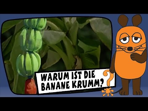 Youtube: Warum ist die Banane krumm? - Sachgeschichten mit Armin Maiwald