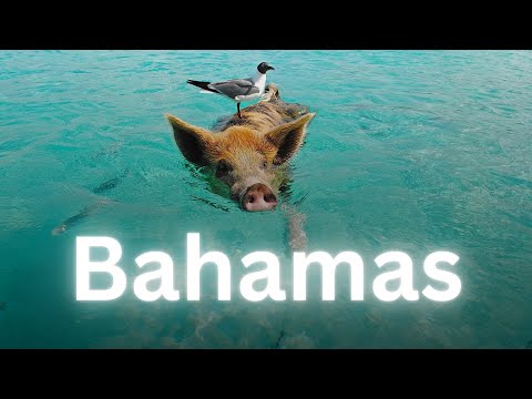 Youtube: Warum die Bahamas dein nächstes Reiseziel sein sollten! 🏝️