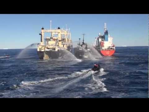 Youtube: Nisshin Maru Boxes Bob Barker Between Itself and Fuel Tanker, Causes Multiple Collisions