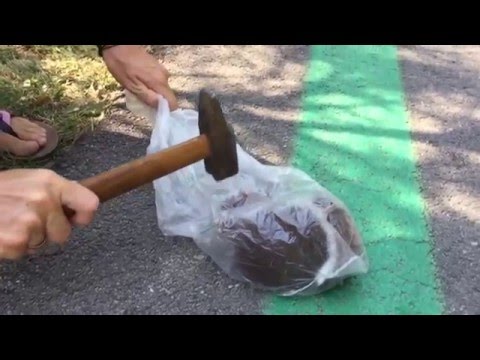Youtube: Kokosnuss mit dem Hammer zerschlagen
