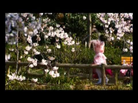 Youtube: Kirschblüten - Hanami - Trailer 2