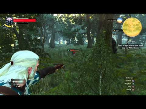 Youtube: The Witcher 3 bullet time bug