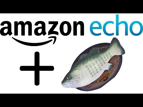 Youtube: The Fish From The Amazon (Echo)